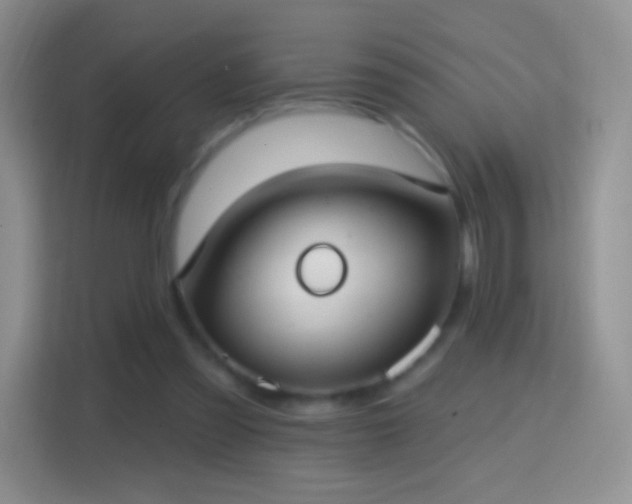 X0000114420301200910231212