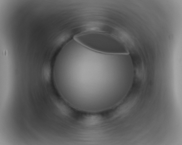 X0000114420304200910231211