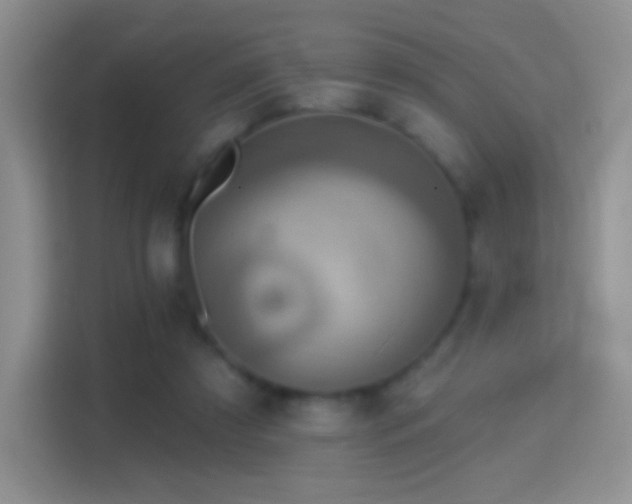 X0000114420305200910231211