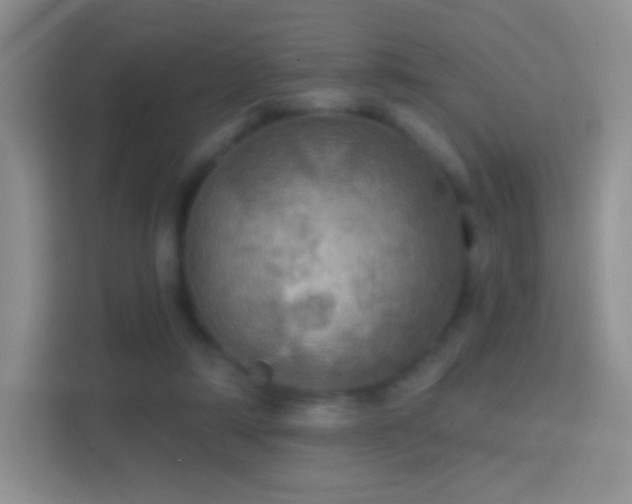 X0000114420306200910231211