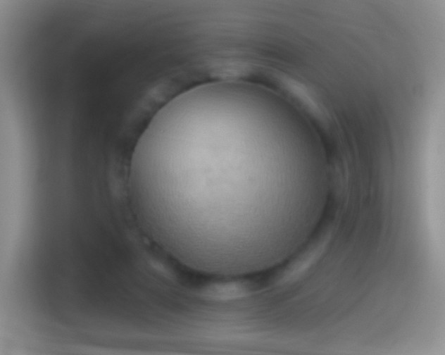 X0000114420307200910231211