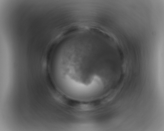 X0000114420314200910231211