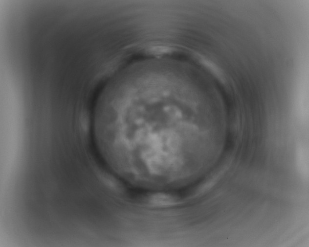 X0000114420315200910231211