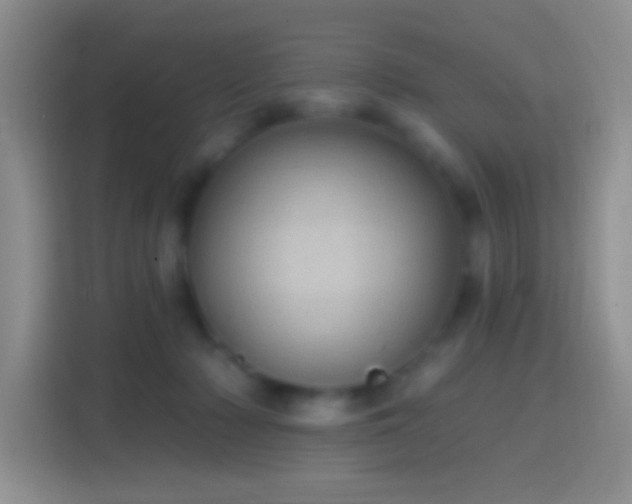 X0000114420318200910231211
