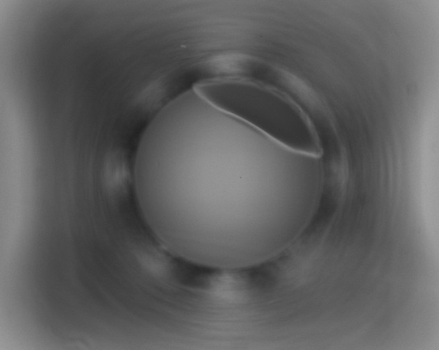 X0000114420320200910231211