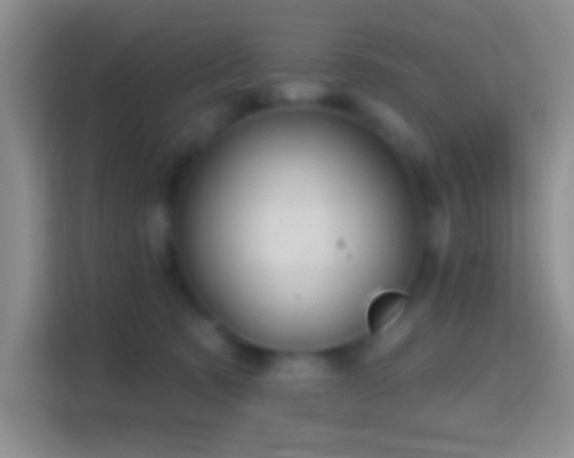 X0000114420321200910231211