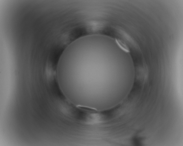 X0000114420324200910231211