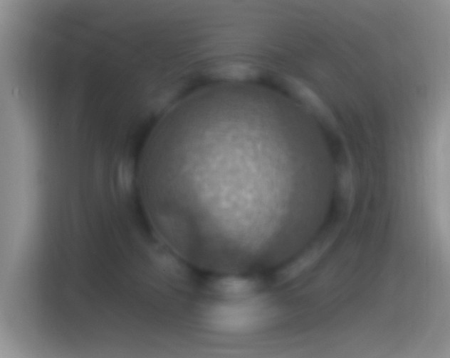 X0000114420326200910231211
