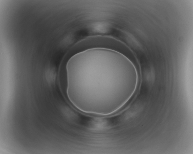 X0000114420328200910231211