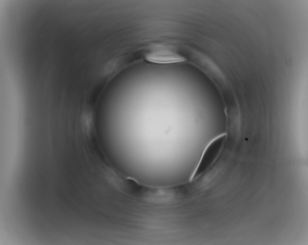 X0000114420329200910231211