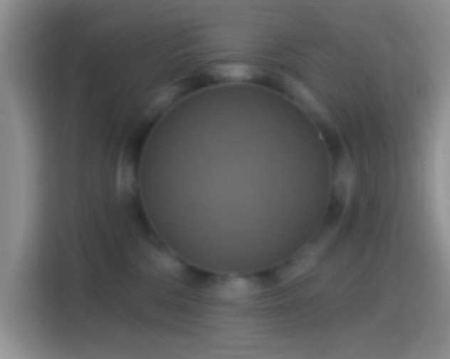 X0000114420330200910231211