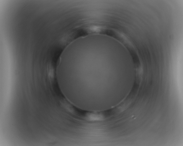 X0000114420331200910231211