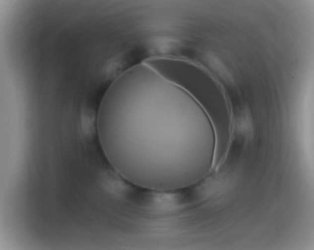 X0000114420332200910231211
