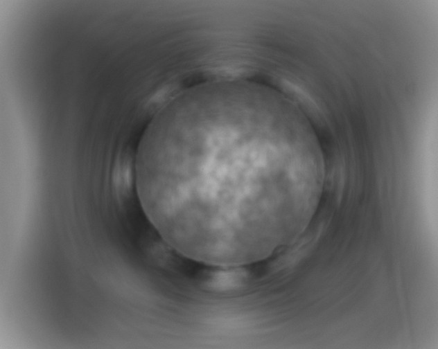 X0000114420334200910231211