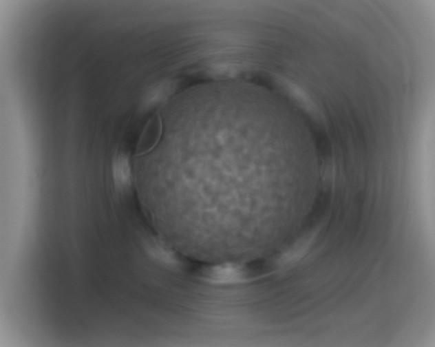 X0000114420335200910231211