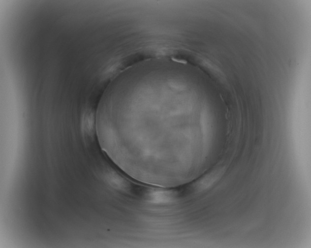 X0000114420336200910231211