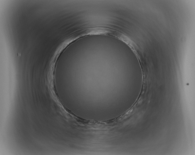 X0000114420337200910231210