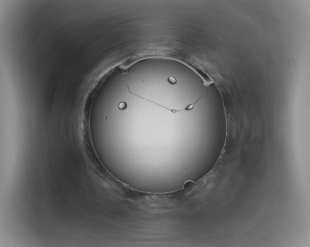 X0000114420338200910231210