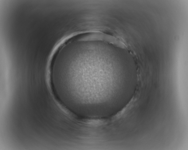 X0000114420342200910231211