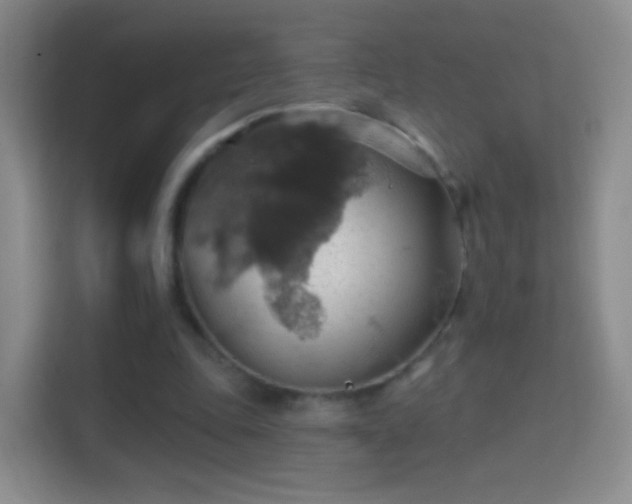 X0000114420343200910231211