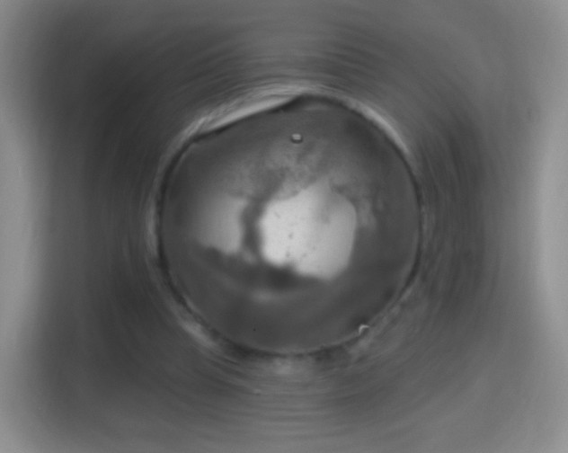 X0000114420345200910231211