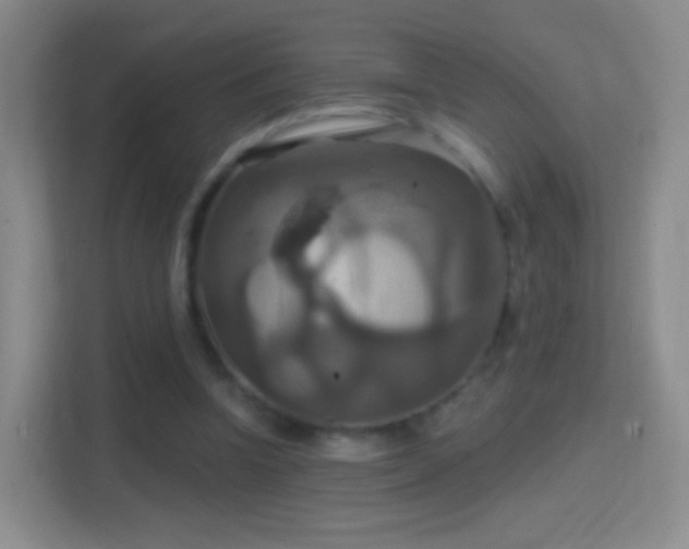 X0000114420346200910231211