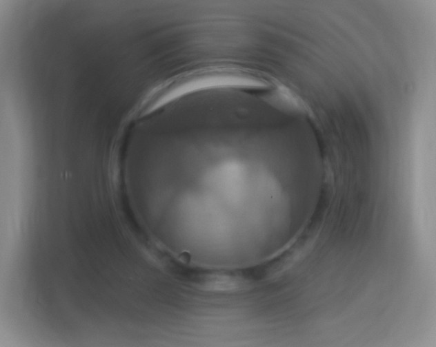 X0000114420347200910231211
