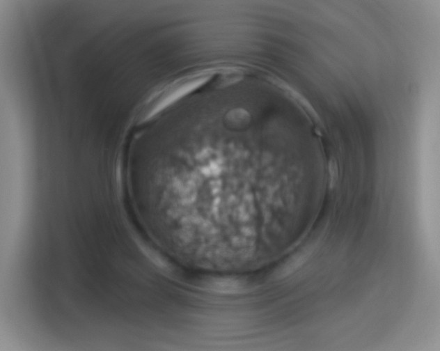 X0000114420349200910231211