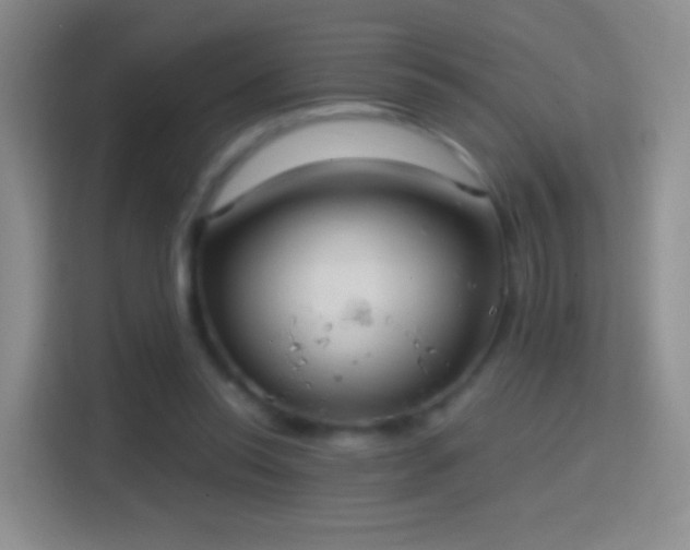 X0000114420350200910231211