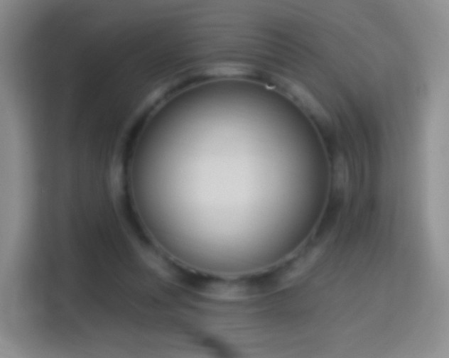 X0000114420351200910231211