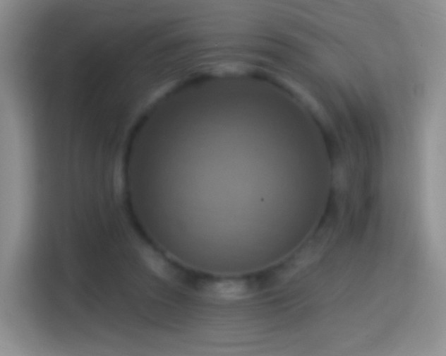 X0000114420353200910231211