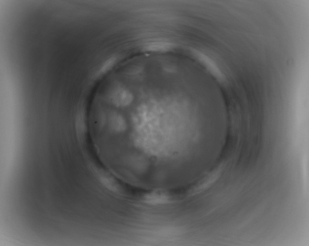 X0000114420354200910231211