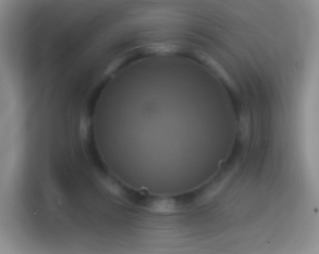 X0000114420355200910231211
