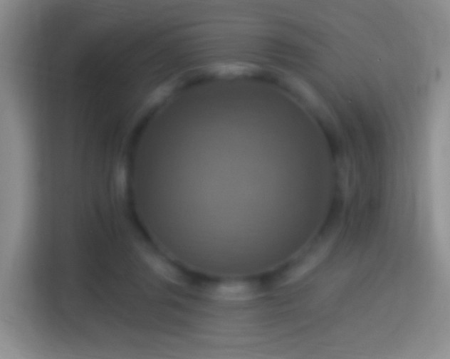 X0000114420357200910231211