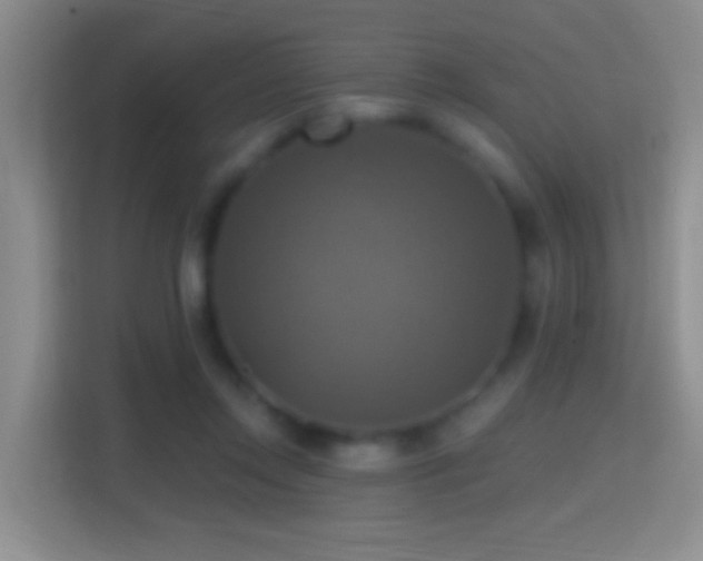 X0000114420358200910231211