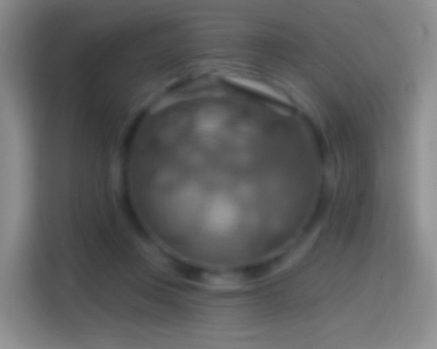 X0000114420359200910231211