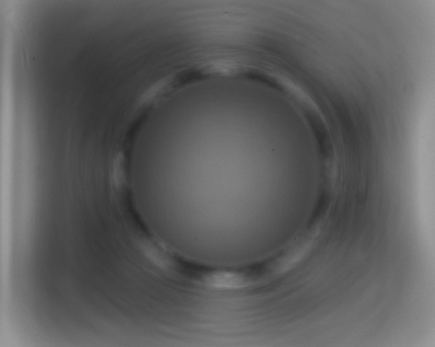 X0000114420361200910231211