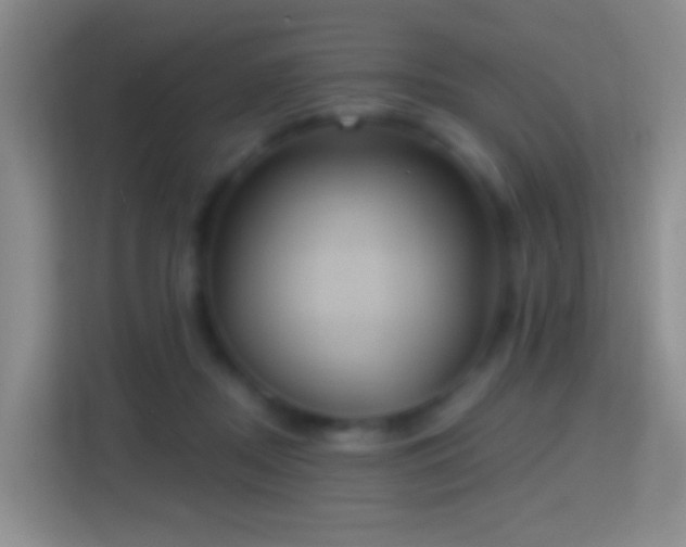 X0000114420362200910231211