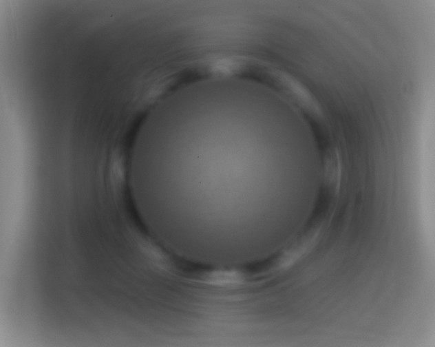 X0000114420363200910231211
