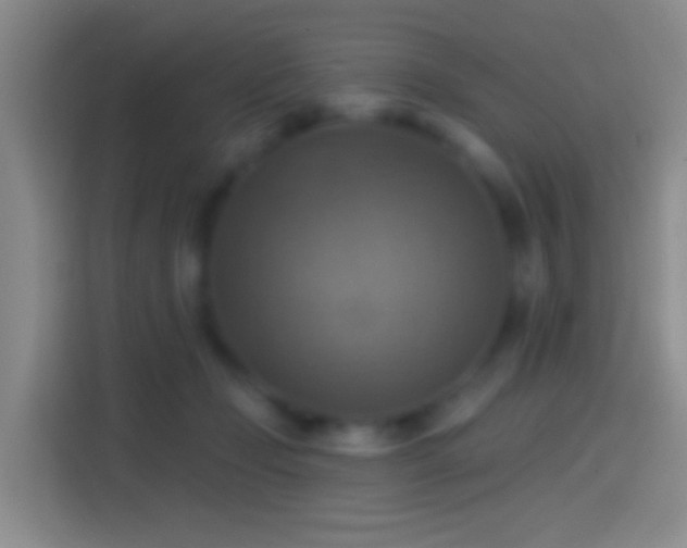 X0000114420365200910231211