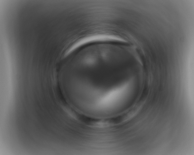 X0000114420366200910231211