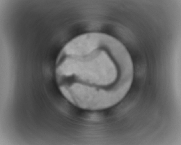 X0000114420370200910231211