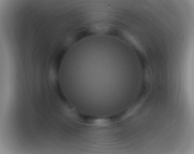 X0000114420371200910231211