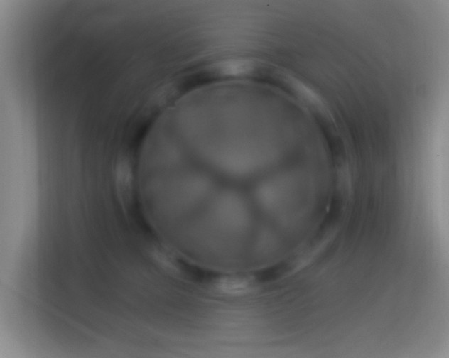 X0000114420373200910231211