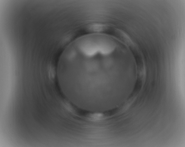 X0000114420374200910231211