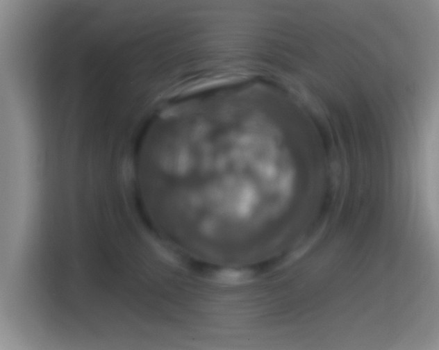 X0000114420375200910231211