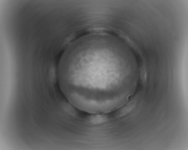 X0000114420378200910231211