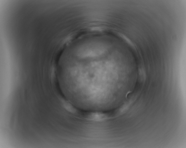 X0000114420379200910231211