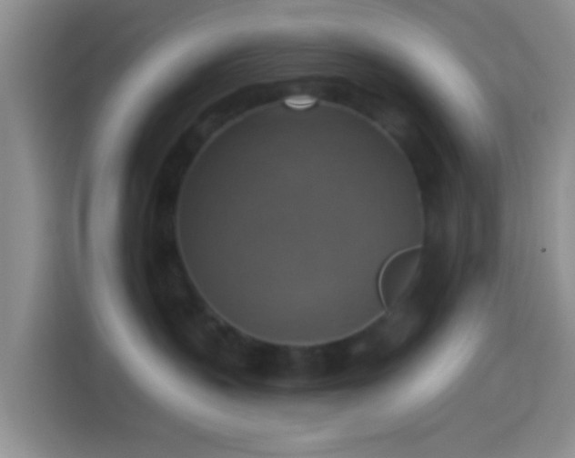 X0000114420383200910231211