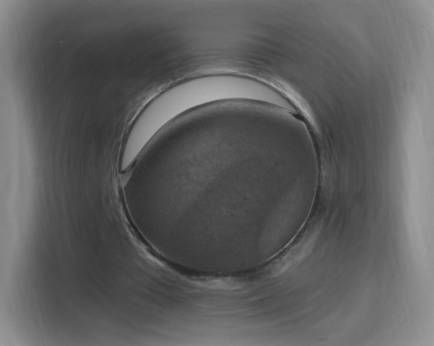 X0000114420385200910231210